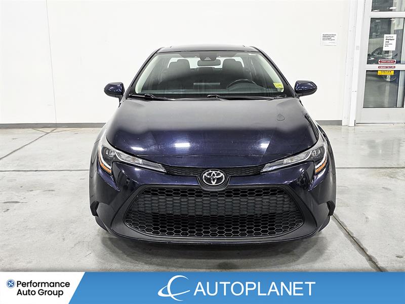 toyota Corolla 2022 - 2