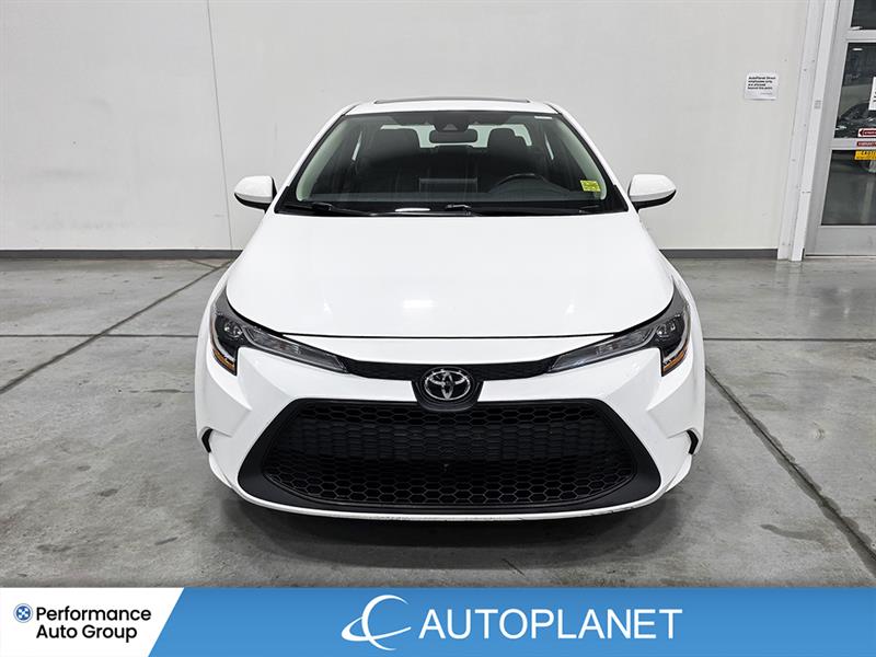 toyota Corolla 2021 - 2