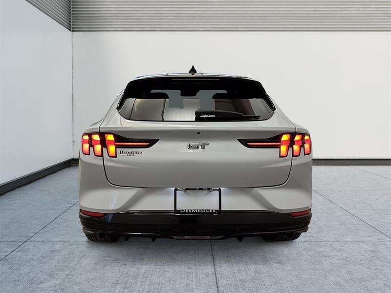 ford Mustang Mach-E 2022 - 10