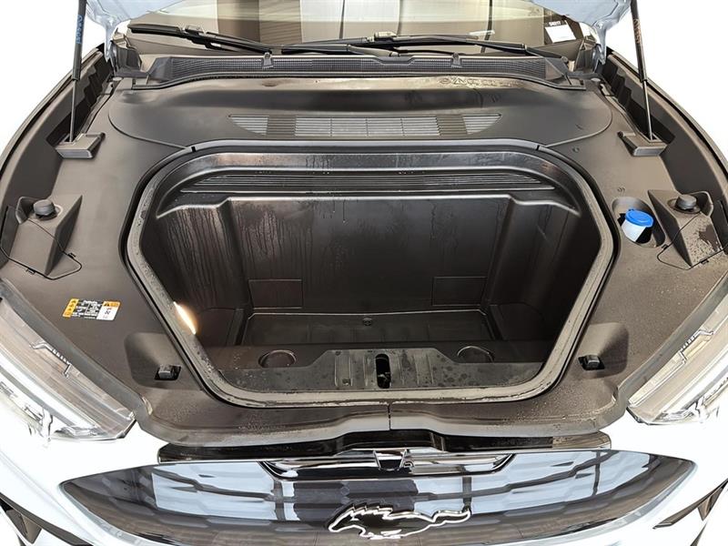 ford Mustang Mach-E 2022 - 13