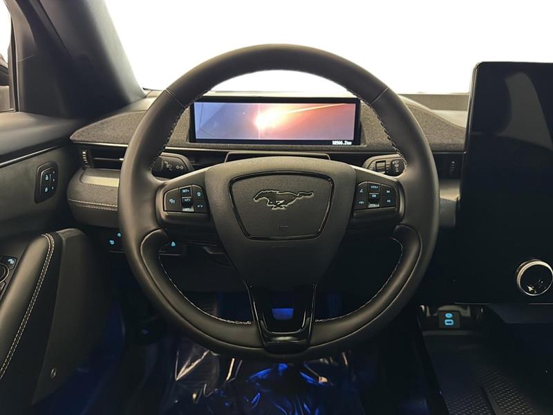 ford Mustang Mach-E 2022 - 18