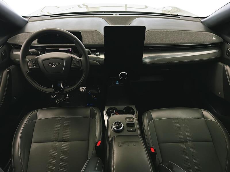 ford Mustang Mach-E 2022 - 19