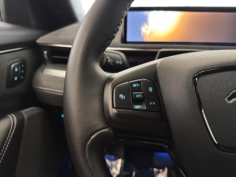 ford Mustang Mach-E 2022 - 24