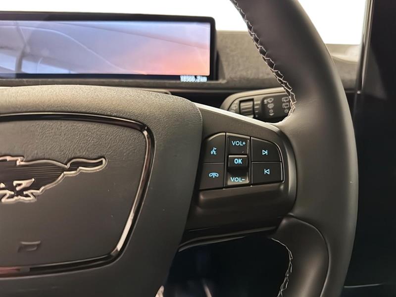 ford Mustang Mach-E 2022 - 25