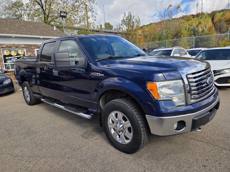 ford F-150 2010 - 4