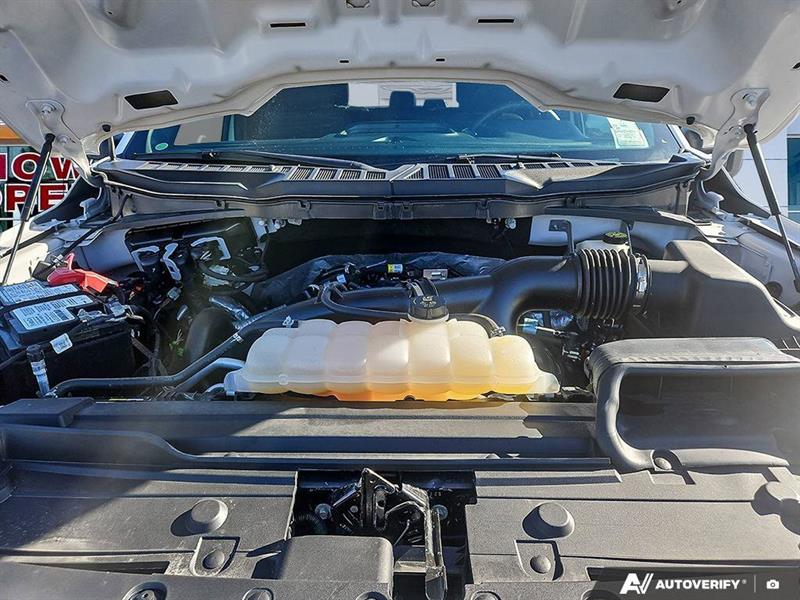 ford F-150 2021 - 10