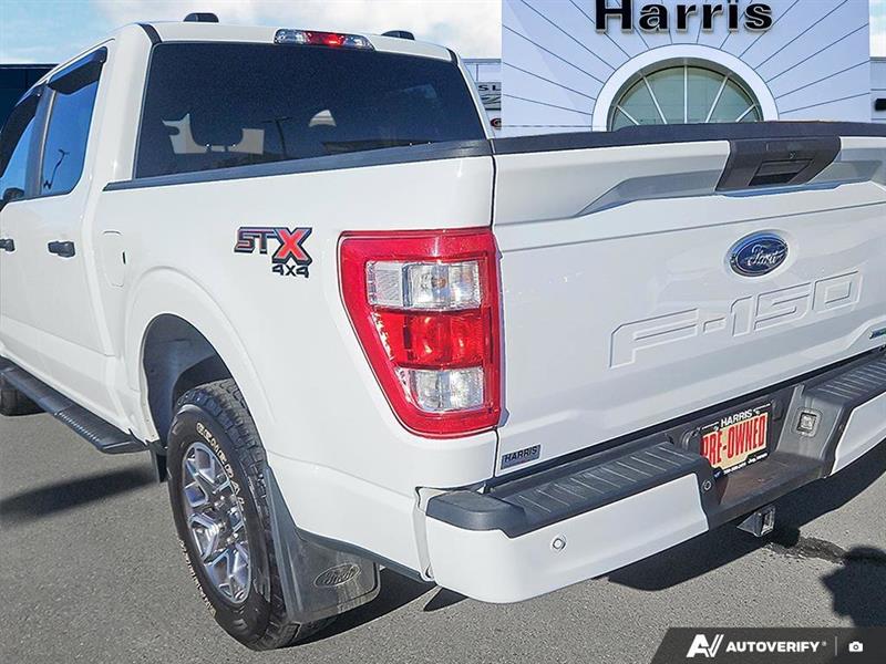 ford F-150 2021 - 11