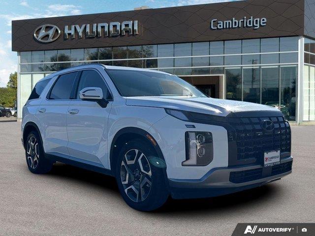 hyundai Palisade 2024 - 7