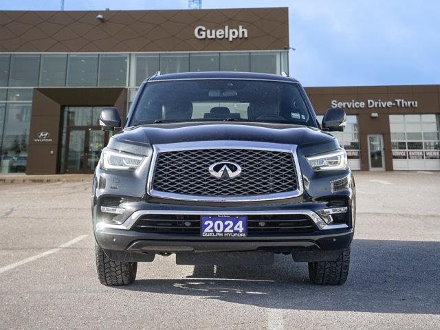 infiniti QX80 2024 - 2