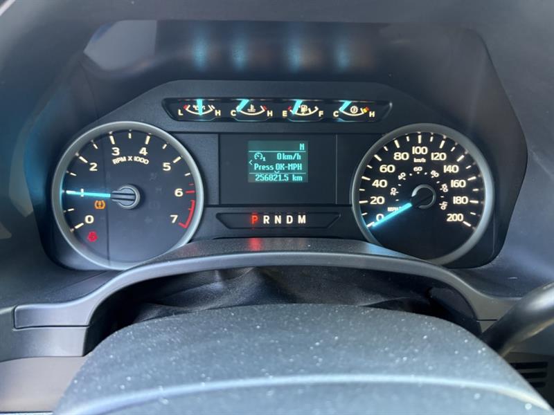 ford F-150 2020 - 14