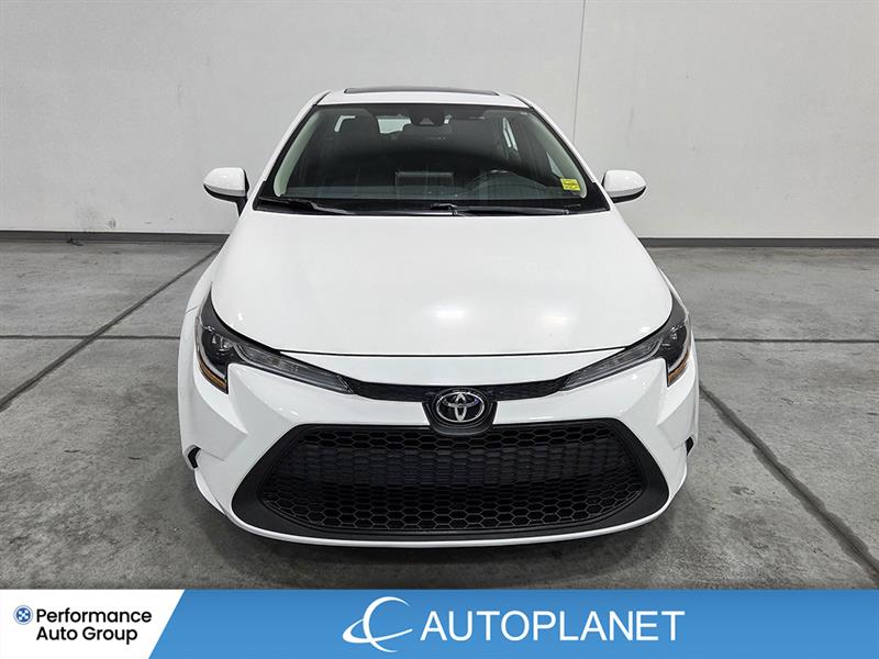 toyota Corolla 2021 - 2