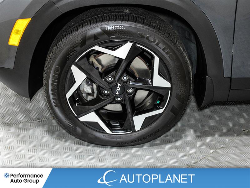 kia Seltos 2024 - 12