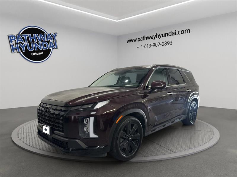 hyundai Palisade 2023 - 8