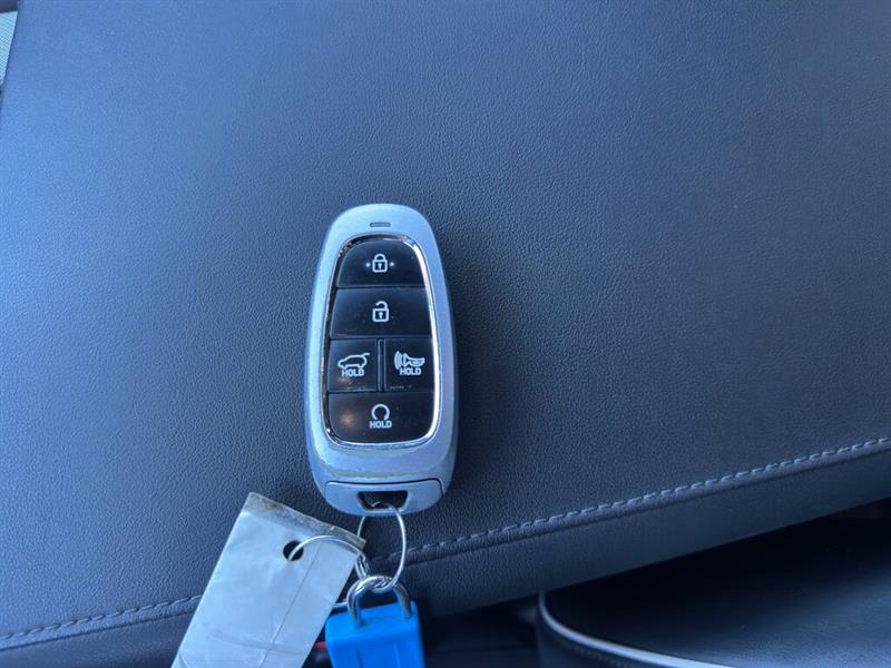 hyundai Palisade 2023 - 24