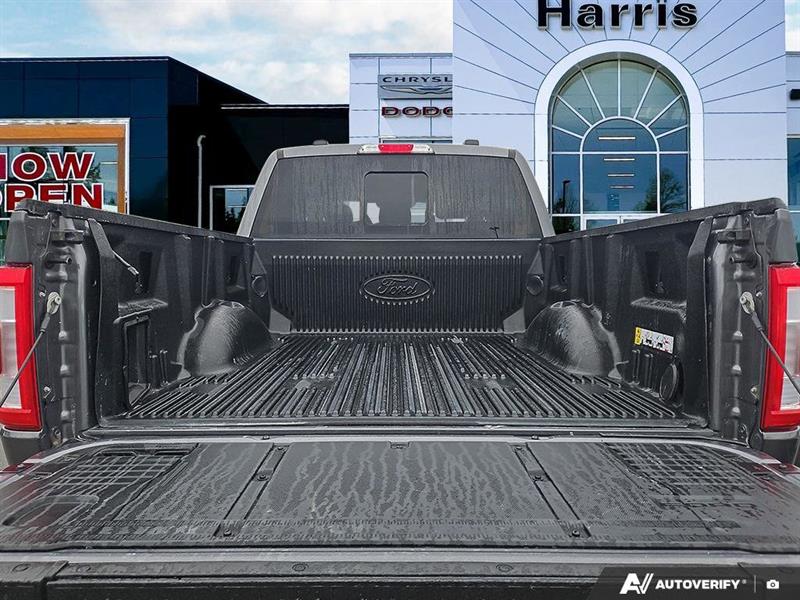 ford F-150 2023 - 12