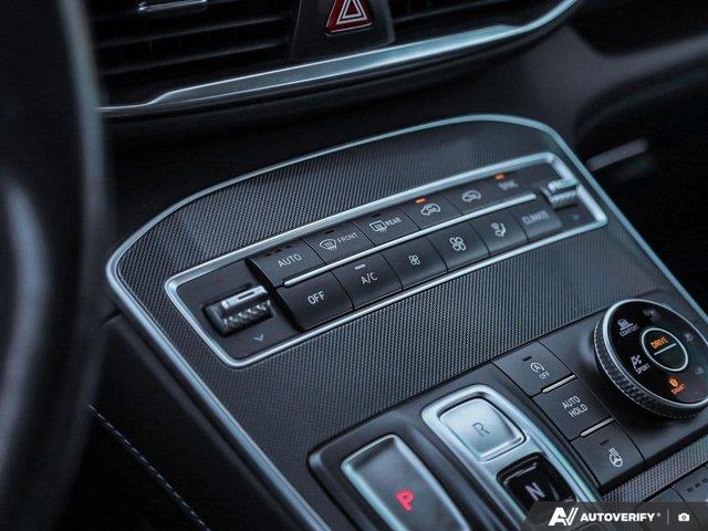 hyundai Santa Fe 2021 - 24