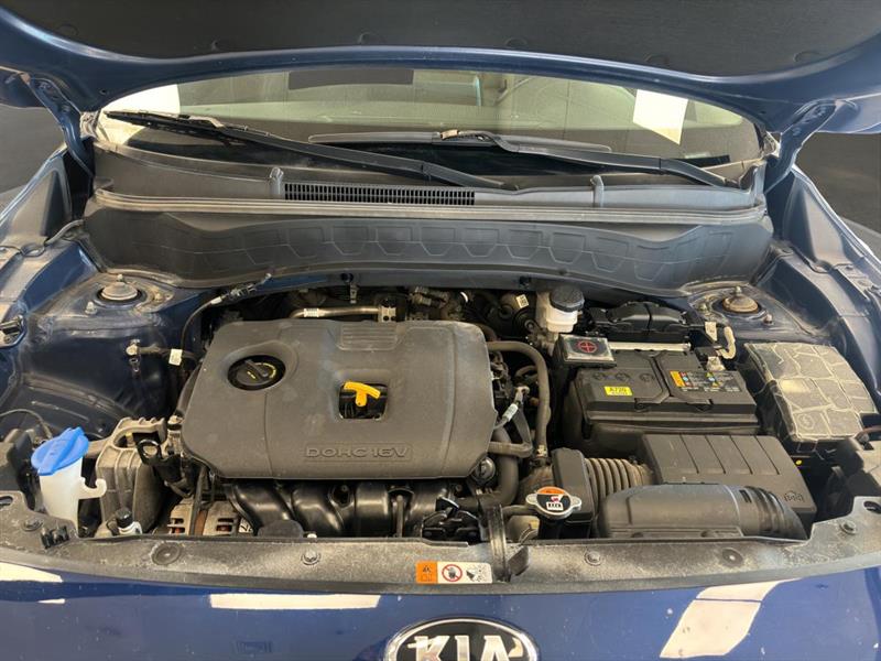 kia Seltos 2021 - 21