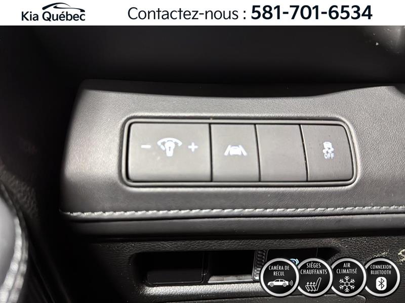 hyundai Santa Fe 2023 - 17