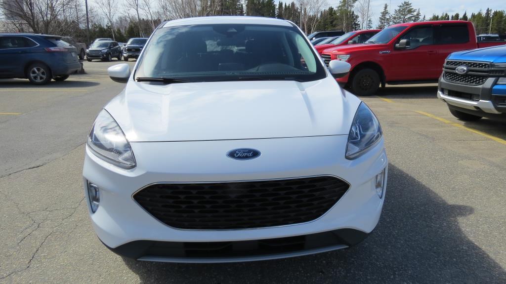 ford Escape 2022 - 3