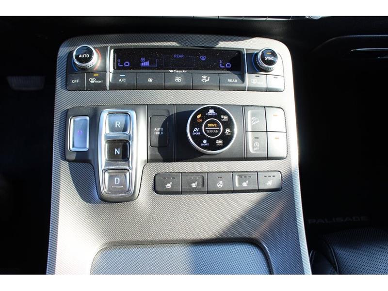 hyundai Palisade 2020 - 24