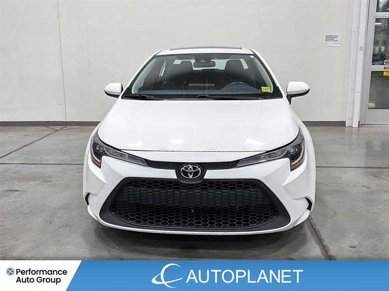 toyota Corolla 2022 - 2