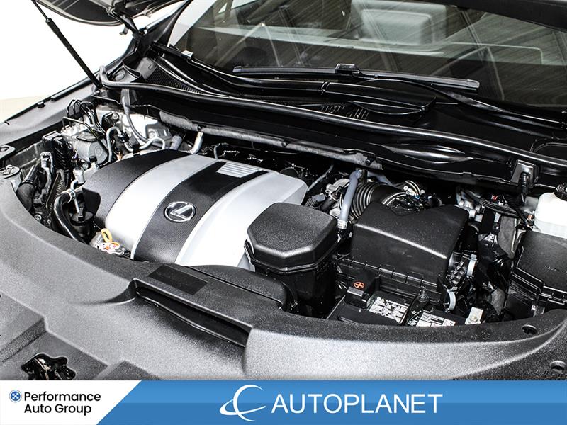 lexus RX 350 2022 - 11