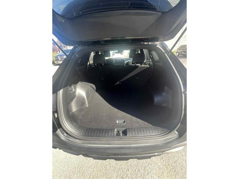 kia Sportage 2023 - 24