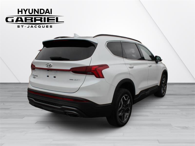 hyundai Santa Fe 2022 - 10