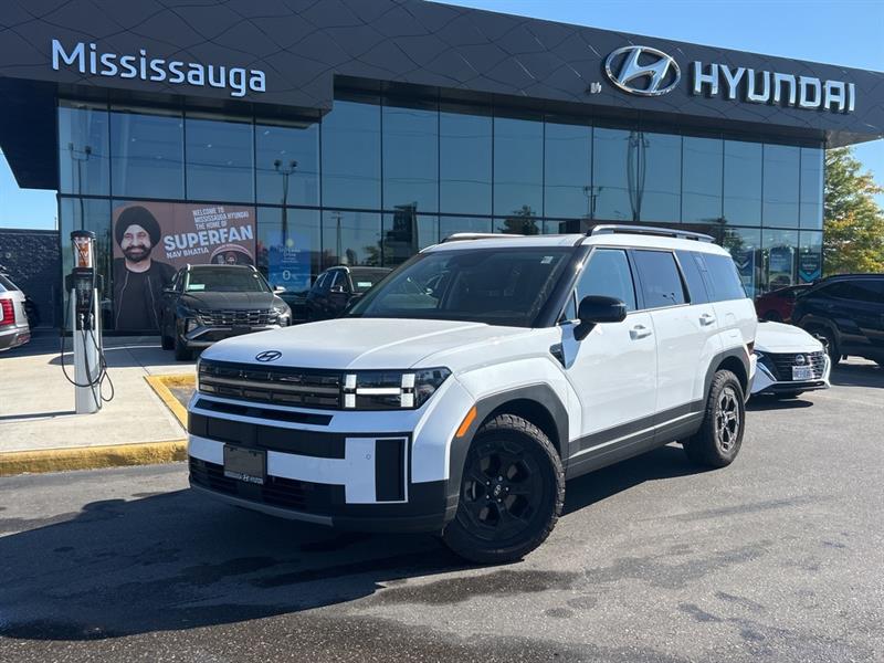 hyundai Santa Fe 2025 - 10