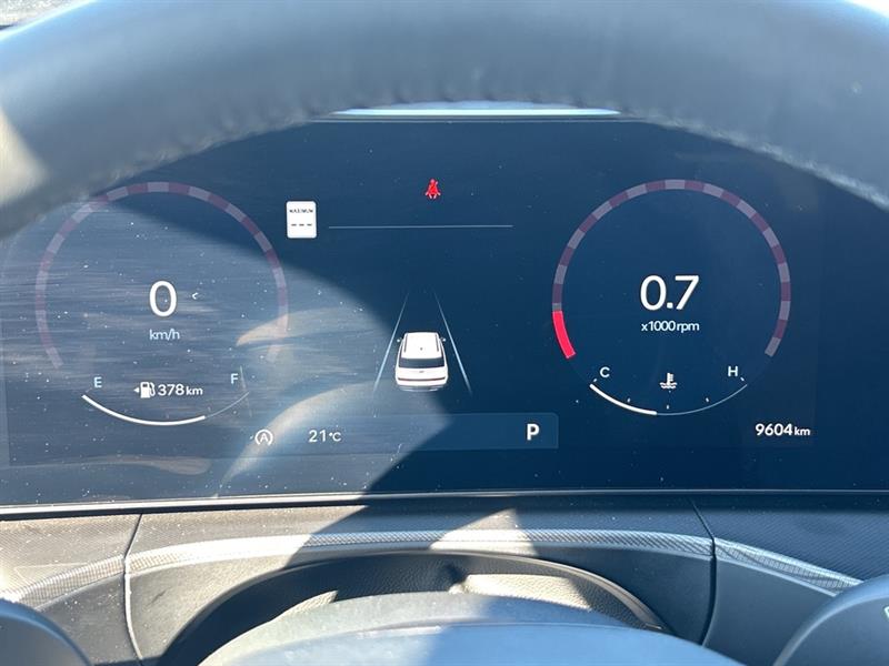 hyundai Santa Fe 2025 - 15