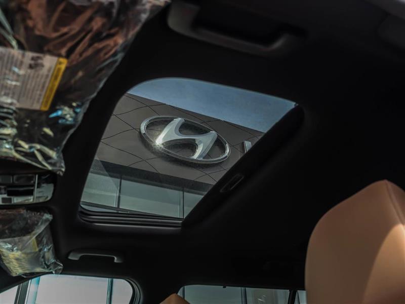 hyundai Santa Fe 2025 - 6