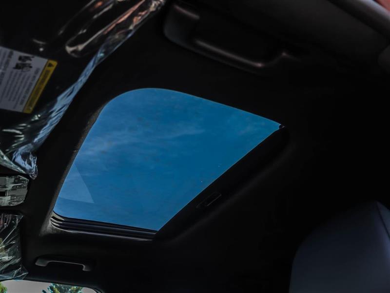 hyundai Santa Fe 2025 - 6