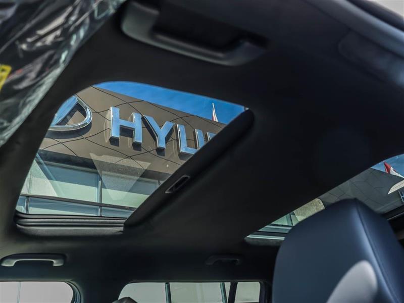 hyundai Santa Fe 2025 - 6