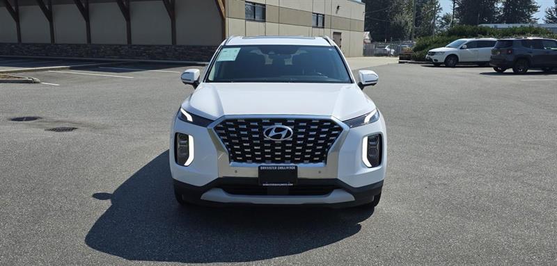 hyundai Palisade 2020 - 2
