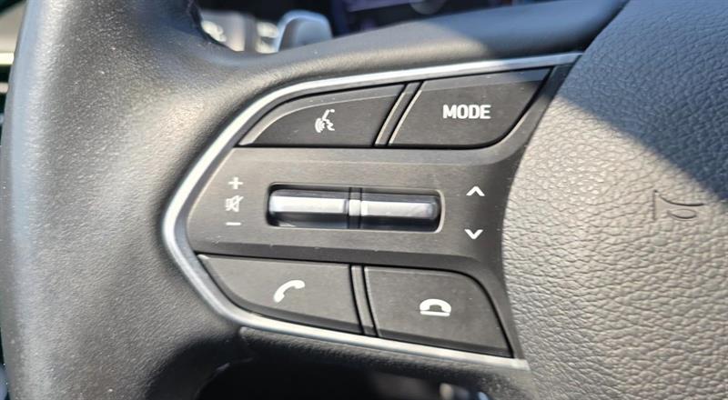 hyundai Palisade 2020 - 17