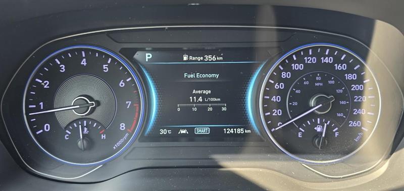 hyundai Palisade 2020 - 22