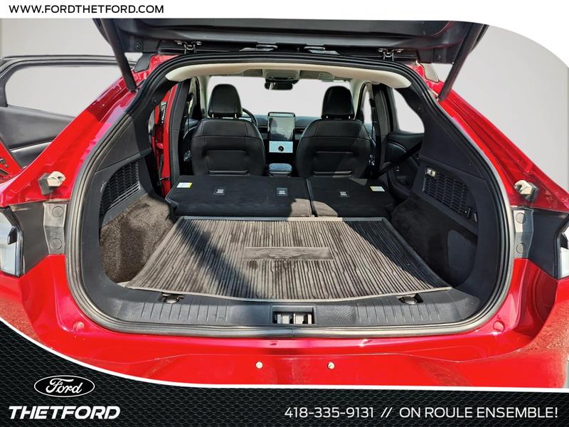 ford Mustang Mach-E 2021 - 7