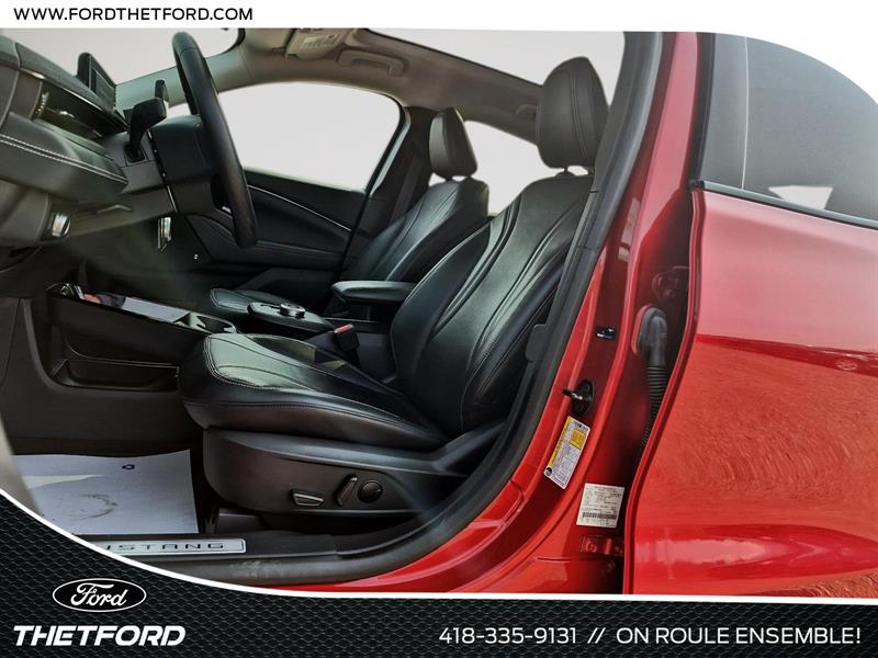 ford Mustang Mach-E 2021 - 9