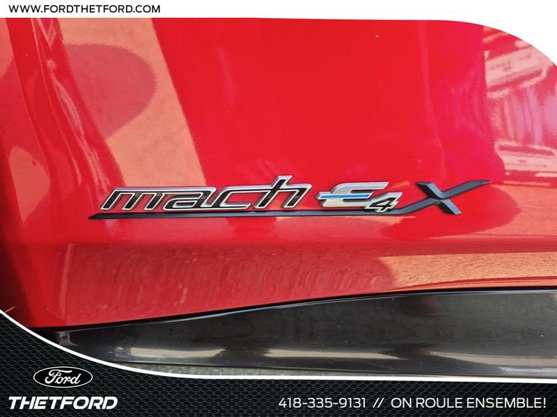 ford Mustang Mach-E 2021 - 17