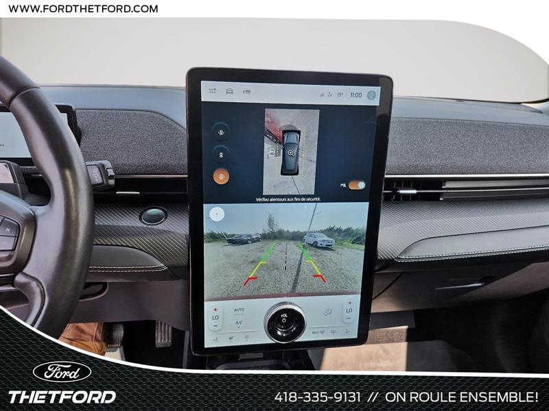 ford Mustang Mach-E 2021 - 19