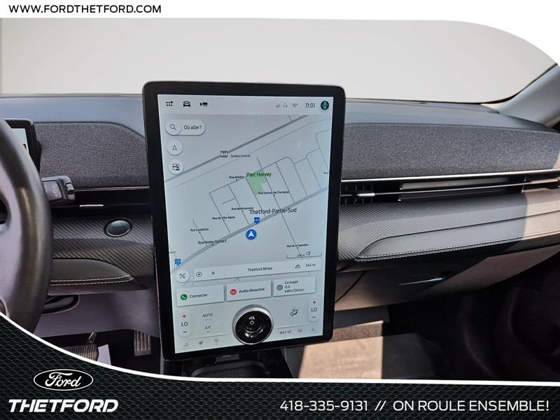 ford Mustang Mach-E 2021 - 20