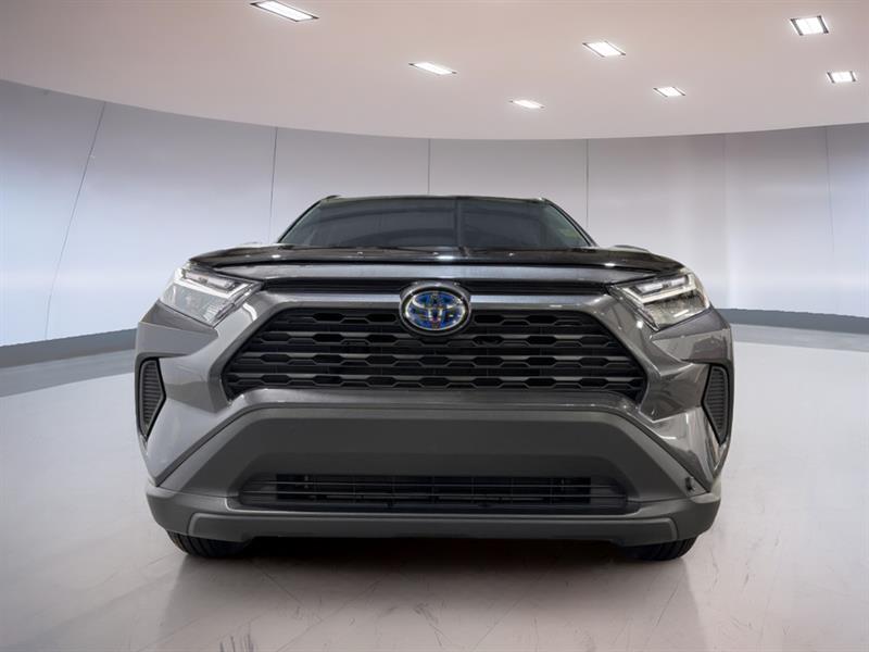 toyota RAV4 2023 - 2