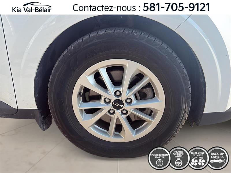 kia Carnival 2024 - 14