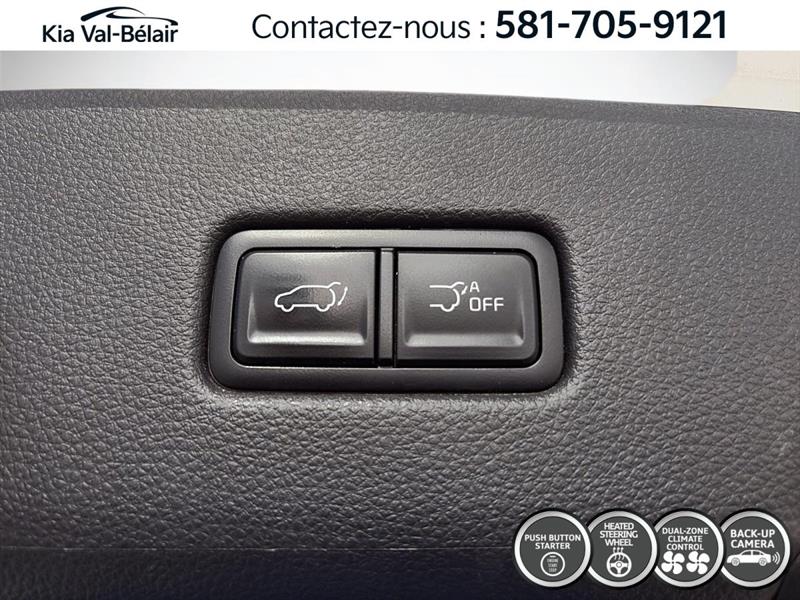 kia Carnival 2024 - 29