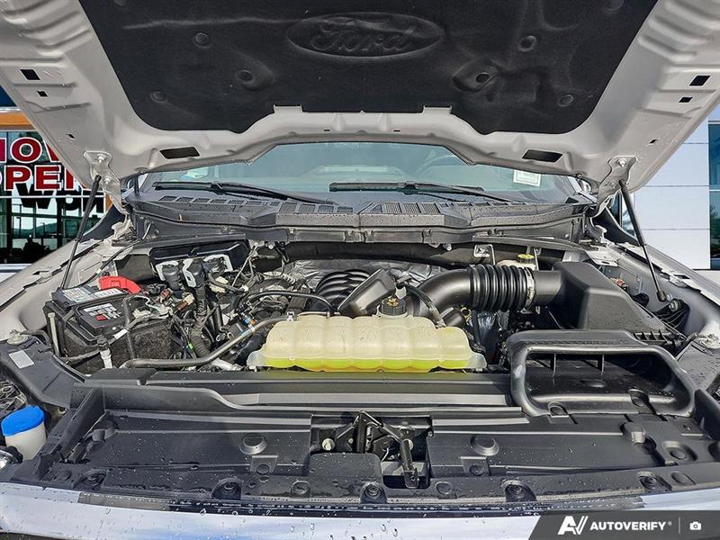 ford F-150 2021 - 10