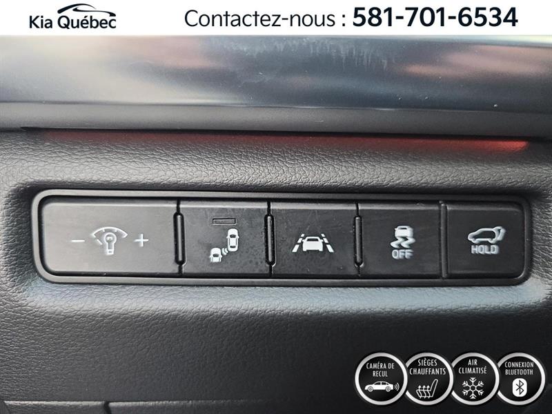 kia Telluride 2022 - 17