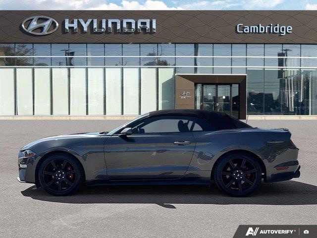 ford Mustang 2019 - 2