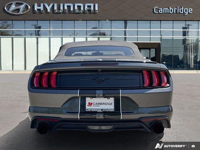 ford Mustang 2019 - 4