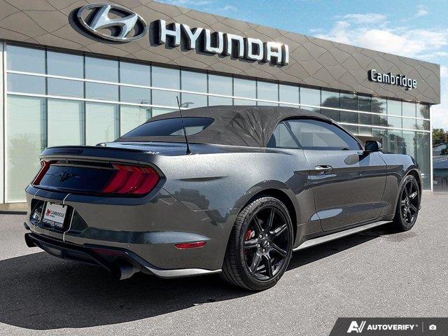 ford Mustang 2019 - 5