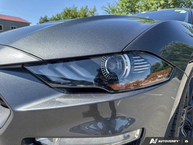 ford Mustang 2019 - 11